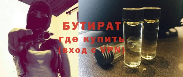 индика Вяземский