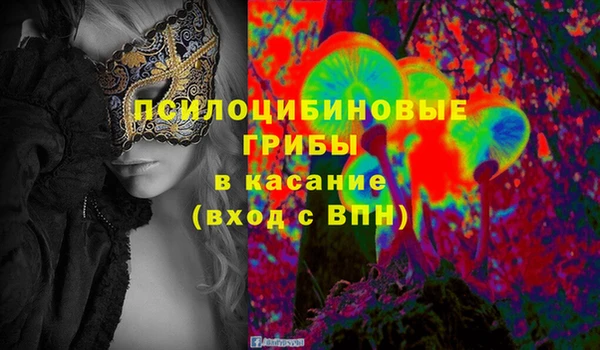 гидропоника Богородицк