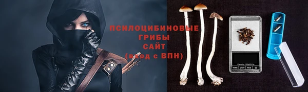 apvp Вязники
