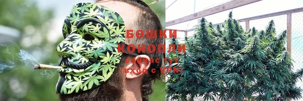 бошки Бронницы