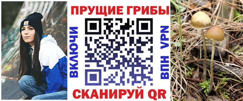 это наркотические препараты цены mega Первомайск Галлюциногенные грибы мицелий